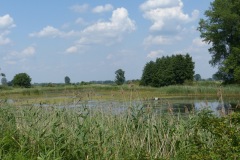 P1060095