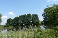 P1060096