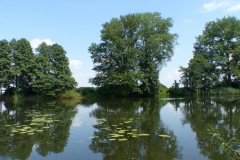 P1060098