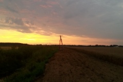 2014.08.10 Ambona na polach pod Oborami