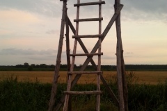 20140805_202351