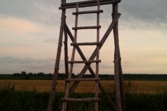 20140805_202354