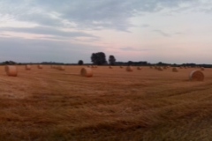 20140805_201447