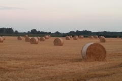 20140805_201454