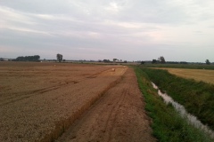 20140805_202500