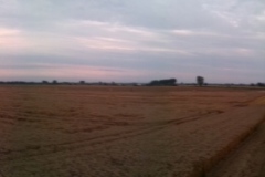 20140805_202532