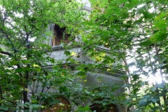 P1080323