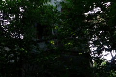 P1080325