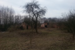 20150221_115928