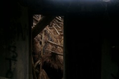 20150221_120024