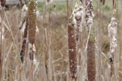 P1090813