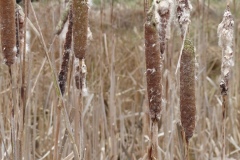 P1090814