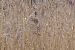 P1090815