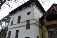 P1100098