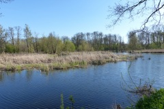 P1110002