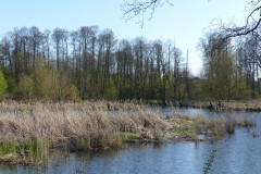 P1110005