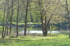 P1110026