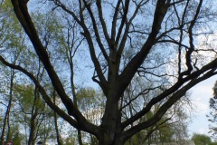 P1110285