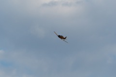P1110318
