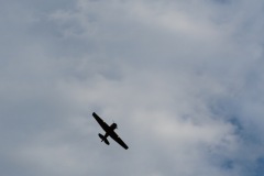 P1110320