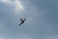 P1110337