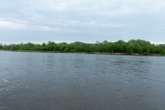 P1110399