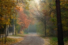 2015.10.30 Jesień na ul. Uzdrowiskowej