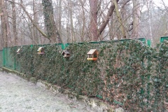 2015.11.26 Karmniki