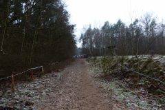 P1140234