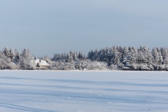 P1140519