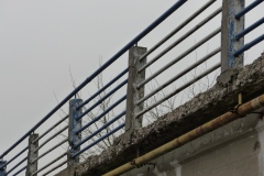 P1140919