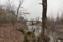P1140944