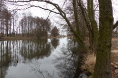 P1150082