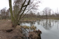 P1150083