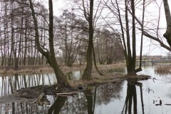 P1150086