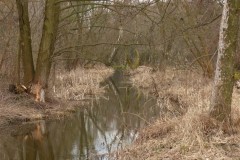 P1150093