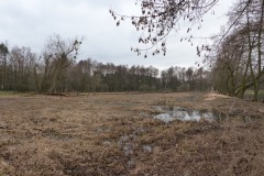 P1150098