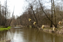 P1150156