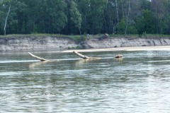 P1160463