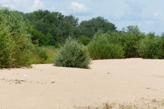 P1160472