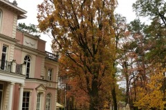 P1180194