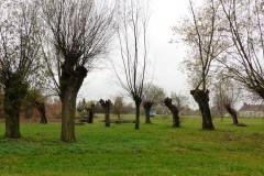 P1180335