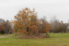 P1180336