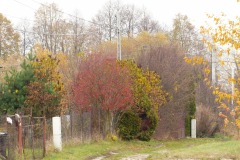 P1180337