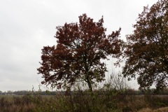 P1180364