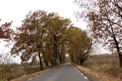 P1180365