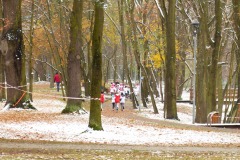 P1180452