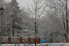 P1180378