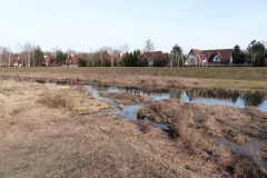 2017.03.04 Nad Jeziorką