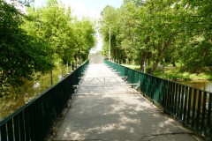 P1190235